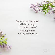 Give me my flowers while i can smell them quote. 35 Beautiful Flower Quotes To Celebrate Life Hope And Love Sayingimages Com
