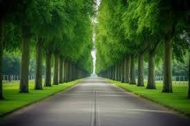 green road stock photos images and