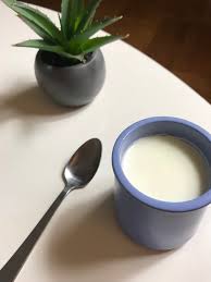 recette des yaourts maison sans