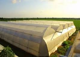 poly green house construction services