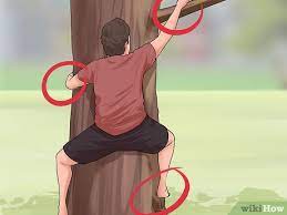 how to climb a tree with pictures