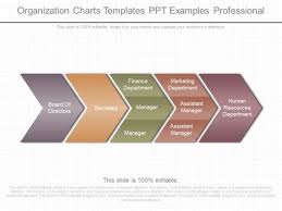 Organization Charts Templates Ppt Examples Professional