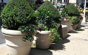 Extra Large Lightweight Planters Where