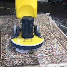 top 10 best carpet cleaning in