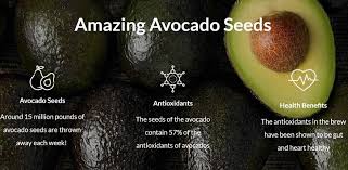 hidden gems find new uses for avocado seeds