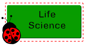 Image result for life science clipart sign