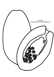 mewarnai gambar sketsa buah pepaya 1