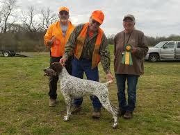 German shorthaired pointers are affectionate, intelligent and cooperative dogs that love to retrieve. Fieldfine German Shorthaired Pointers Dot Simberlund
