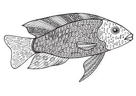 Fische zum ausdrucken kostenlos ausmalen ausmalbilder tiere malvorlagen window color vorlagen für kinder erwachsene und senioren gratis. Fisch 5 Ausmalbilder Fur Erwachsene