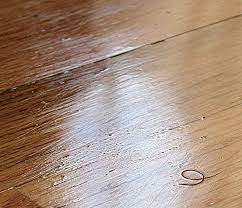 11 wood flooring problems and their