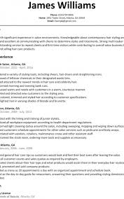 Salon Resume Sample Formatted Templates Example
