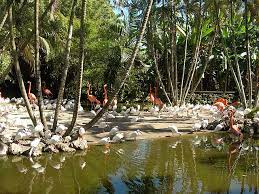 Flamingo Gardens Wikipedia