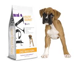 healthy gourmet large breed puppy