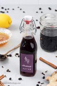 homemade elderberry syrup recipe for