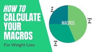 macro calculator how to track macros