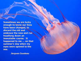 Jacques Cousteau on Pinterest | Coral Reefs, Blue Hole and Scubas via Relatably.com