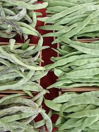 green beans hillsboro farmers markets