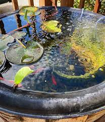 Bubbling Whiskey Barrel Goldfish Pond
