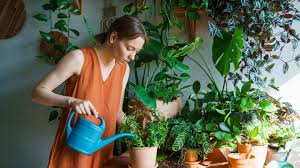 15 Fast Growing Houseplants To Make
