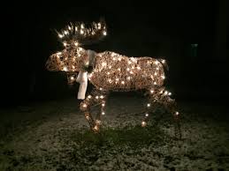 brown light up gvine moose