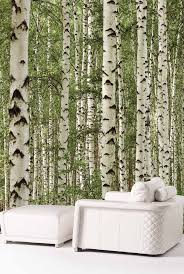 Wallpaper Mural Birch Tree Forest