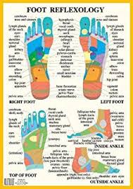 The Museum Outlet Charts Of Reflexology Chart Feet A3