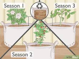 How To Use Growing Bags For Plants