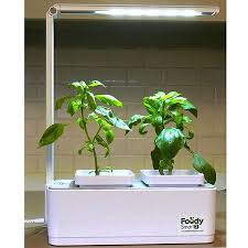 Buyer S Guide Indoor Herb Kits Grow Tests Reviews