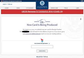 applying for opt with uscis