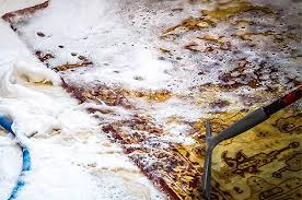 rug cleaning services in glen rock