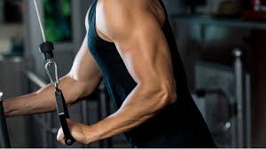 the 15 best triceps exercises for more