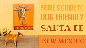 bo s guide to dog friendly santa fe