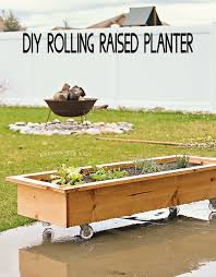 diy rolling planter box kleinworth co
