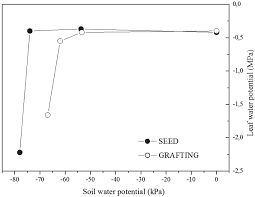 Relationship Between Soil Water Potential Kpa And Leaf