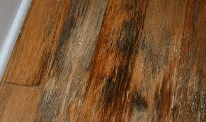 Black Water Stains From Hardwood Floors