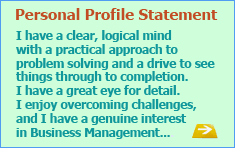 CV profiles  personal statements  career aims and objectives Skills based CV