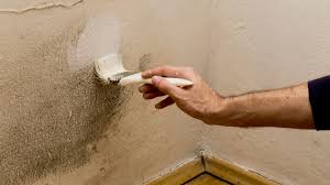 painting over mould how and when you