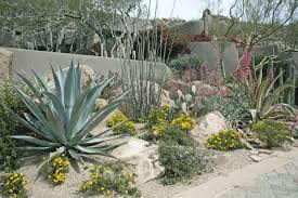 Enchanted Garden Landscape Desert