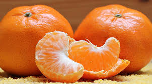 Image result for jeruk mandarin