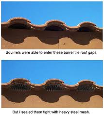 problems with barrel tile roof rats