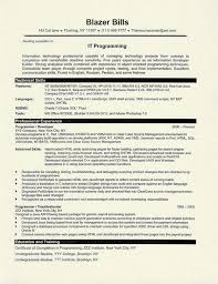 Resume For Programmer Under Fontanacountryinn Com