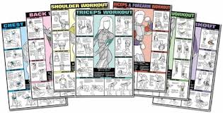 Leg Workout Fitness Chart Co Ed