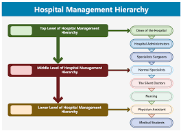 hospital organizational chart explained