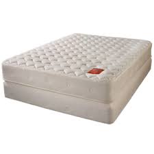 pranasleep latex mattress reviews