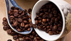 ความรู้เบื้องต้นของกาแฟ Ep.1 - ชนิดของเมล็ดกาแฟ - koffeetools