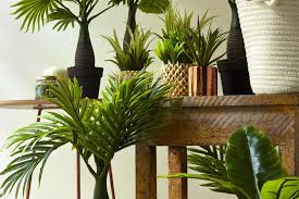 Plant Theme In Your House
