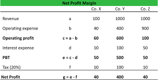 net profit margin formula exle
