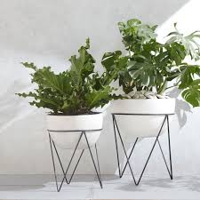 Welcome to the little blog from caro and chris. Iris Indoor Outdoor Planter On Stand