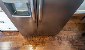what causes a fridge to leak water