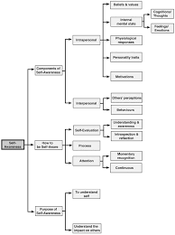 defining self awareness in the context